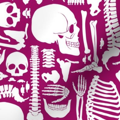Halloween Skeleton Pattern Pink and White-01