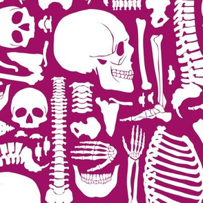 Halloween Skeleton Pattern Pink and White-01