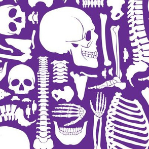 Halloween Skeleton Pattern Purple and White 01-01