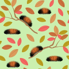 Fall Woolly Worms