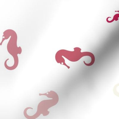 Sea Horse 2-01-01