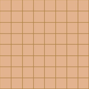 RUST GRID ON PEACH