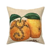 Orange and Cloves for PIllow