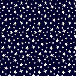 Rainbow Stars on Navy Blue - White Shadow - Small Scale