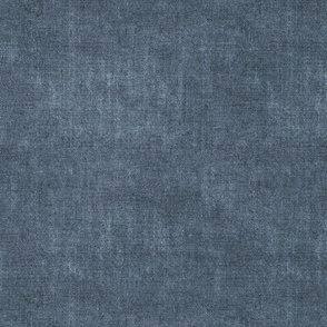distressed denim blue canvas texture
