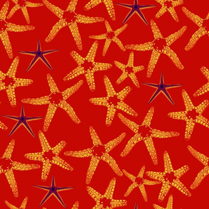 star fish on red