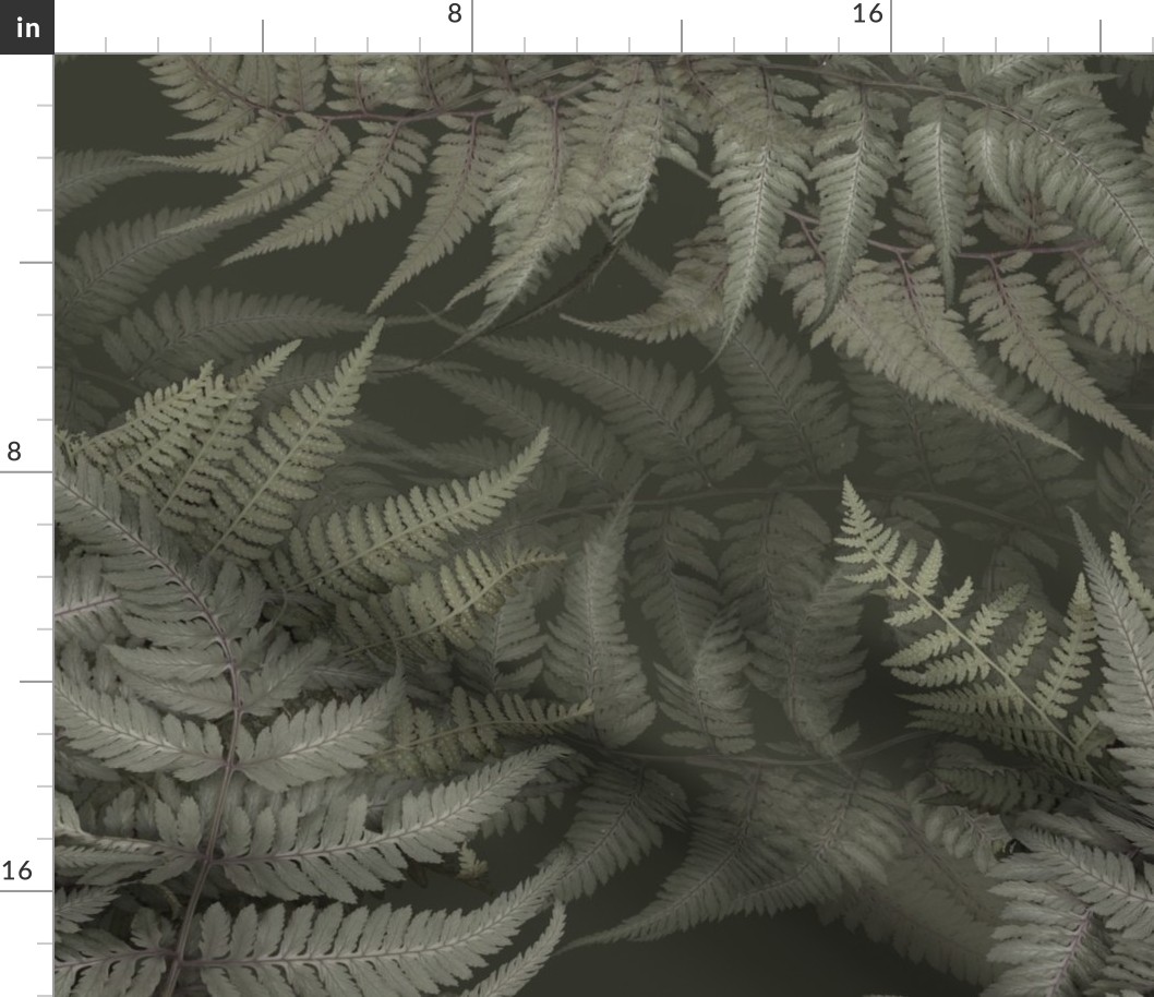 Grey Ferns