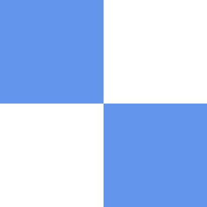 Six Inch Cornflower Blue and White Checkerboard Squares