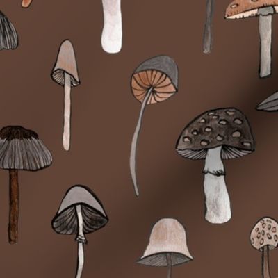 mushroom bruin 2 - 25_