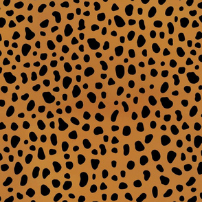 cheetah spots