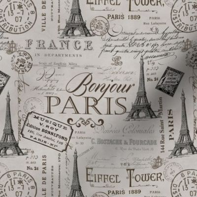 Vintage Paris Pattern