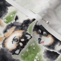 Happy Finnish Lapphund - small scale