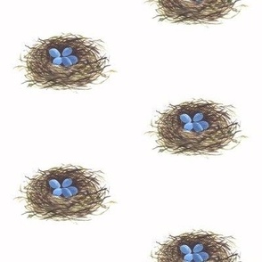 Robin's Nest