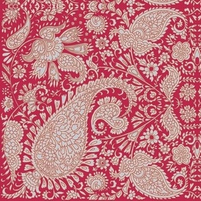 Viva Magenta Paisley  Pattern Medium