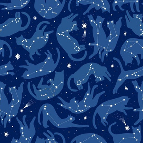 medium scale / cat constellations blue 