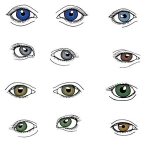 Eyes for Quilting - Large - Mixed Colours
