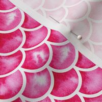 watercolor scales - pink