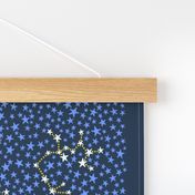 Zodiac constellations stars FQ tea towel by Pippa Shaw