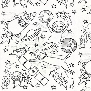 Kitties in space