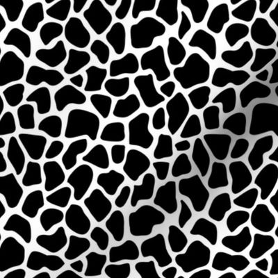 Trendy minimal safari animal print abstract giraffe wild life spots winter monochrome black and white