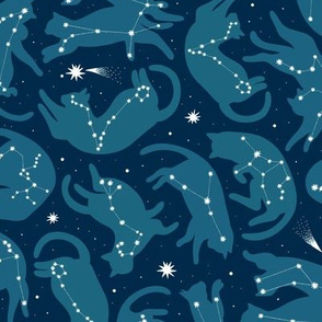 Сat constellations aqua 