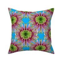 Kaleidoscope Artichoke Flowers on Sky Blue