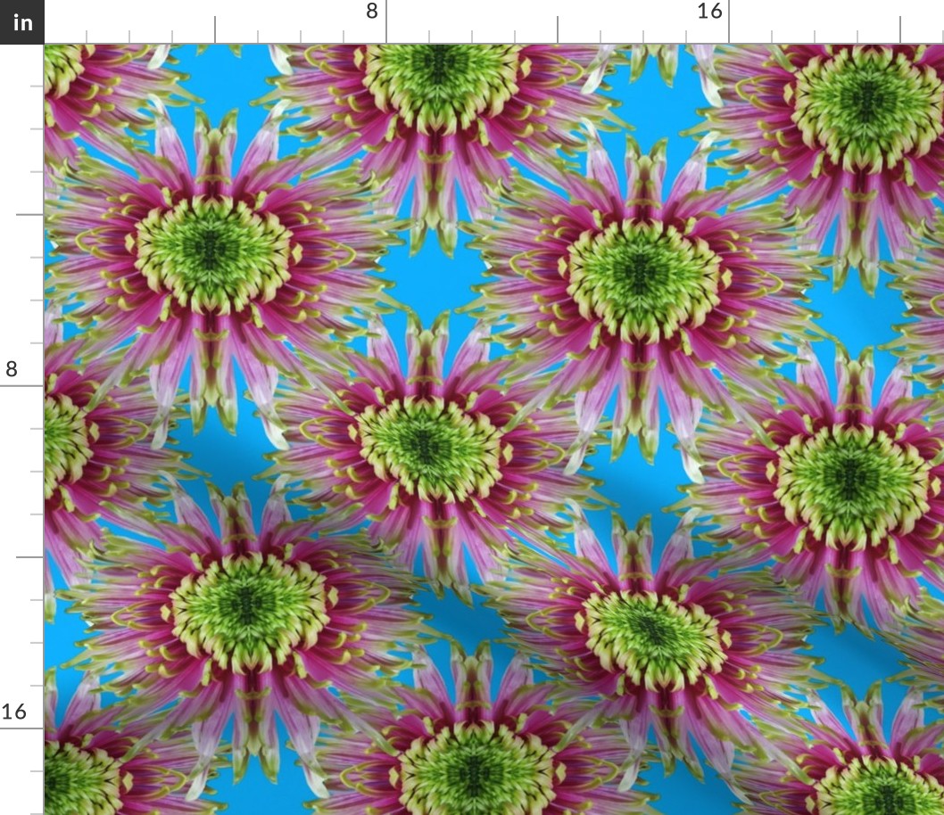 Kaleidoscope Artichoke Flowers on Sky Blue