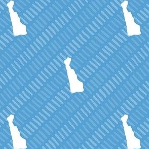 Delaware State Shape Stripe Pattern Light Blue and White
