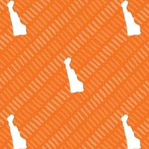 Delaware State Shape Stripe Pattern Orange