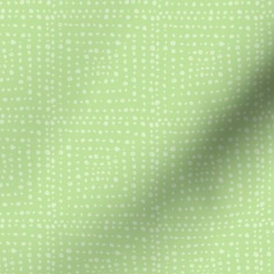 I'm a Square (apple green) Coordinate