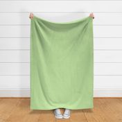 I'm a Square (apple green) Coordinate