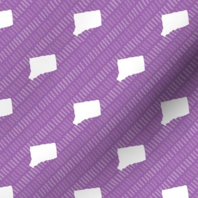 Connecticut State Shape Pattern Purple and White Stripes 