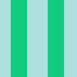 Color Clash Cabana Stripe in Aqua/Mint