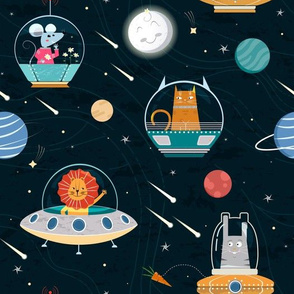 Animals in space