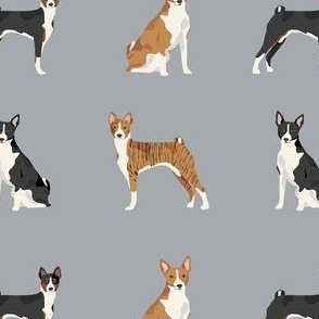 basenji dog fabric - black basenji dog, brindle basenji, basenji fabric, dog fabric, dogs fabric, cute dog, pet - grey