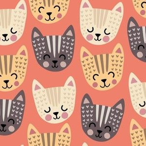 Wake up Scandi tabby cats on coral