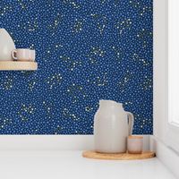 Zodiac constellations stars pattern in midnight by Pippa Shaw