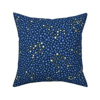Zodiac constellations stars pattern in midnight by Pippa Shaw
