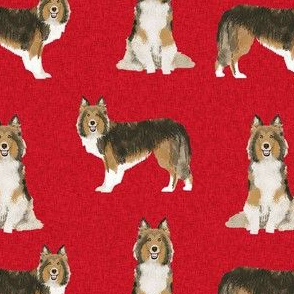 sheltie dog fabric - shetland sheepdog fabric, dog fabric, dog breed fabric -red