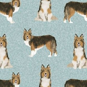 sheltie dog fabric - shetland sheepdog fabric, dog fabric, dog breed fabric - blue