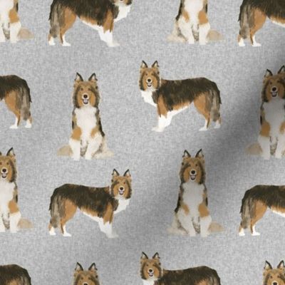 sheltie dog fabric - shetland sheepdog fabric, dog fabric, dog breed fabric - grey