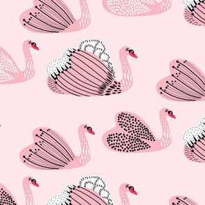 Pink Swans