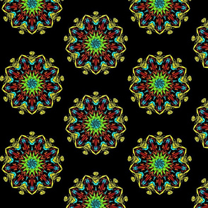 Kaleidoscope - Explosion Multiple colours on Black