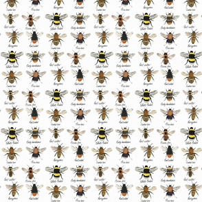 Large // I’m going on a bee hunt