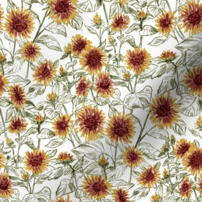 Blazing Sunflower Meadow (sage-white) 8”