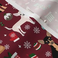 chihuahua dog christmas fabric - cute chihuahua fabric, christmas holiday dog fabric, mixed coats chihuahua -  ruby