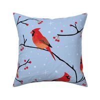 Cardinals pale blue