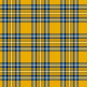 Blue Gold White Tartan 2a