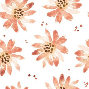 Daisy Fresh |Apricot White Daisy Flowers|Renee Davis