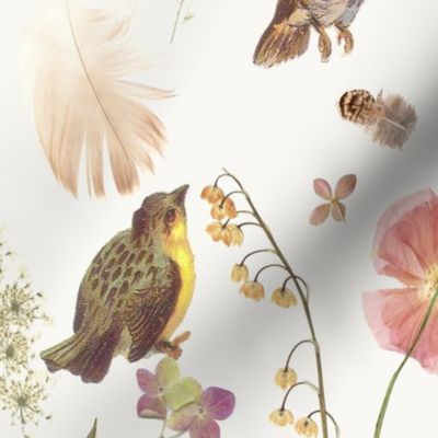 Birds,Flowers and Feathers